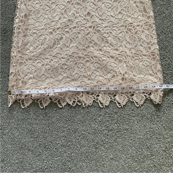 Coast Lace Shift Mini Dress Size 16 Short Sleeve Blush Pink Back Zip - Picture 7 of 12